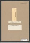 Melosira glomus var. maior Cstr. (de-Toni-Nr.: Genus 213, Species 5315) Zeichnungen Sammlung Grunow Nr. 9218 (NHMW-BOT-W0379003)